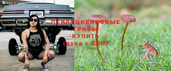 мяу мяу кристалл Богданович