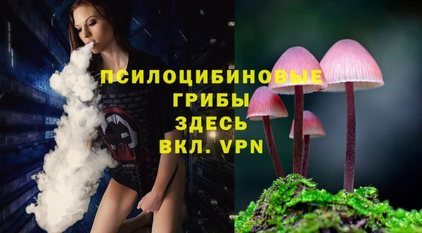PSILOCYBIN Богородск