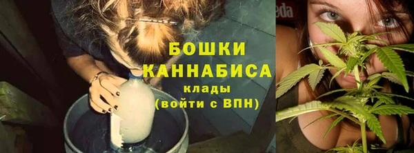 мяу мяу кристалл Богданович